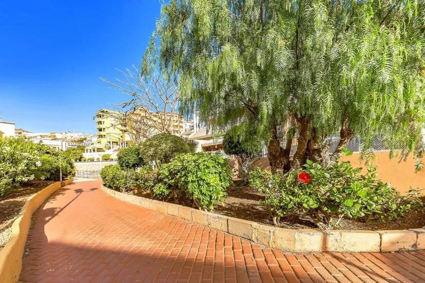 Tenerifeopenhome Costa Adeje Comfort Apartment 3 Pools Eksteriør bilde